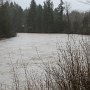 North Fork of Snoqualmie River looking east.